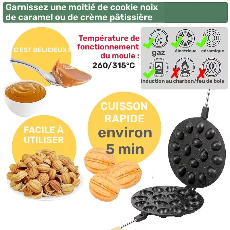 قالب الجوزية